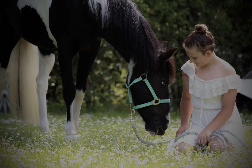 Alpine Stables | 3700 Holland Ave, Cobble Hill, BC V0R 1L3, Canada | Phone: (250) 812-6115