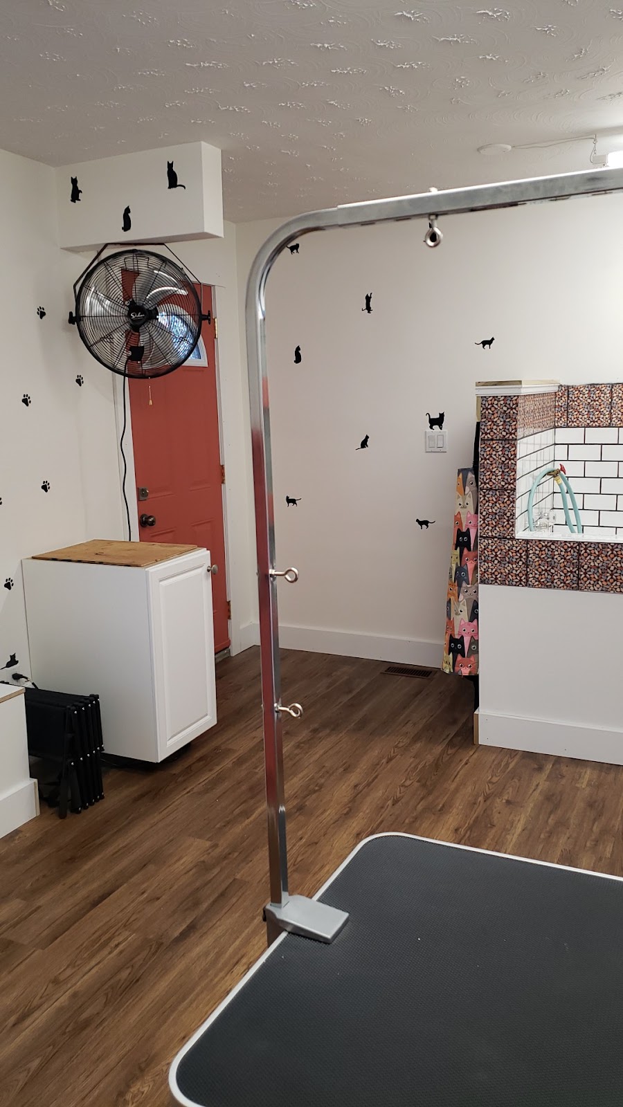 Delite Full Grooming | 22 Renner Ct, Hamilton, ON L8K 6J4, Canada | Phone: (905) 730-8161