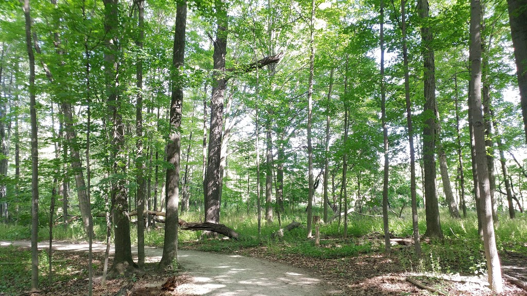 Bronte Creek | Bronte Rd, Oakville, ON L6L, Canada