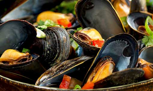 Newport Fish | 370 Alliance Ave, York, ON M6N 2H8, Canada | Phone: (416) 537-1278