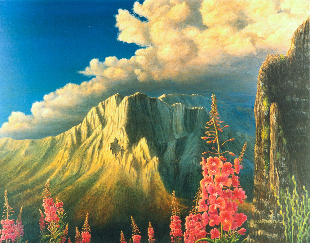 Delyea Art | 30 Ridgemont Dr, Fernie, BC V0B 1M2, Canada | Phone: (250) 423-3665