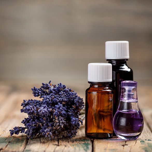 Surya Wellness | 2934 Anchor Way, Nanoose Bay, BC V9P 9G2, Canada | Phone: (250) 468-5597