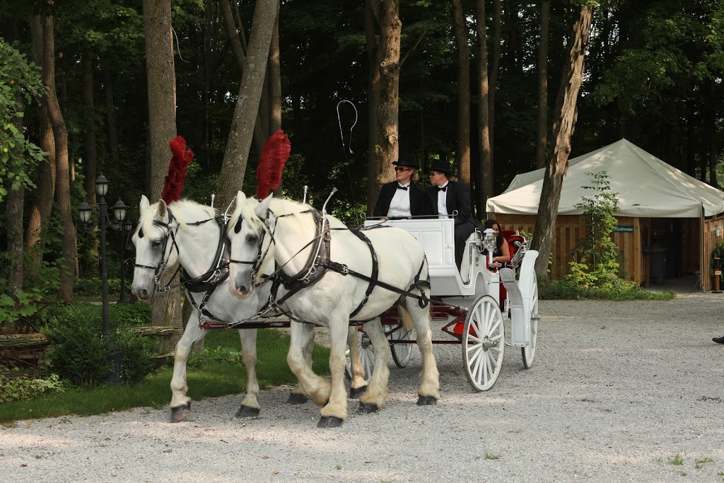 Northbrook Farm Weddings | 3952 Fairgrounds Rd, Severn, ON L3V 0Y2, Canada | Phone: (705) 326-1955