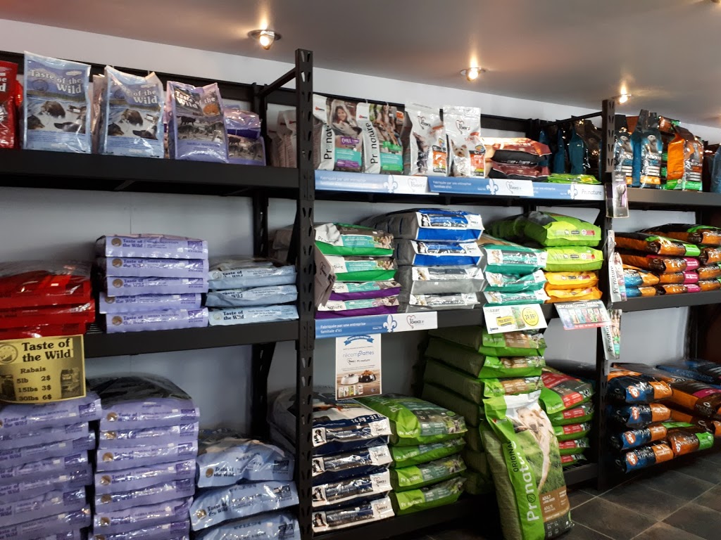 Boutique et Centre Tamylee | 199 Boulevard Bégin, Sainte-Claire, QC G0R 2V0, Canada | Phone: (418) 983-0006
