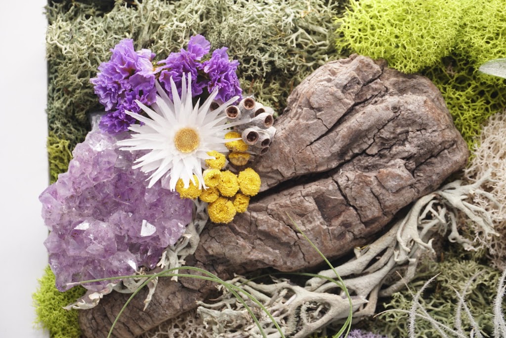 Plant Babies Terrariums | 7905 Rue Tellier, Montréal, QC H1L 6N9, Canada | Phone: (514) 561-7508