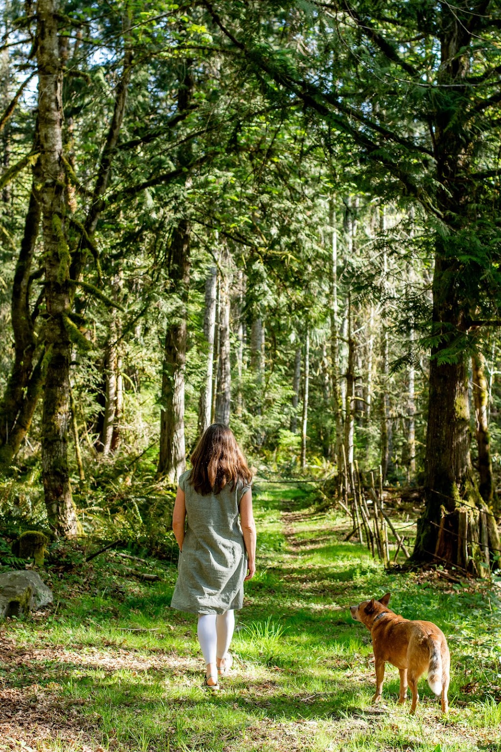 Salt Spring Island Natural Cemetery | 2100 Fulford-Ganges Rd, Salt Spring Island, BC V8K 1Z7, Canada | Phone: (250) 653-9884