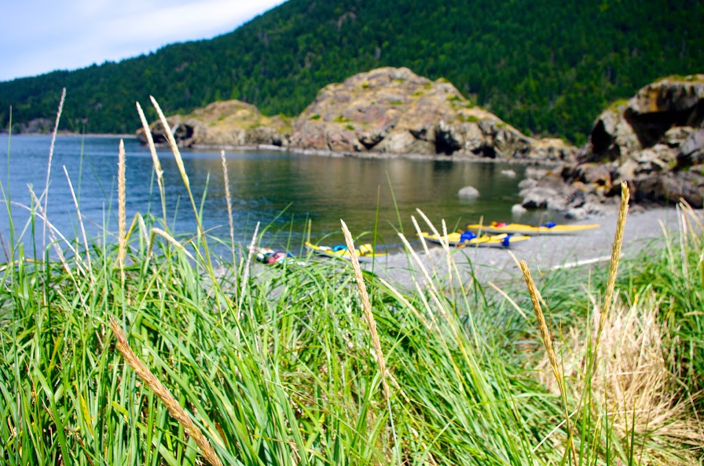 Moondance Sea Kayak Adventures | 909 Squalicum Way #122, Bellingham, WA 98225, USA | Phone: (360) 738-7664