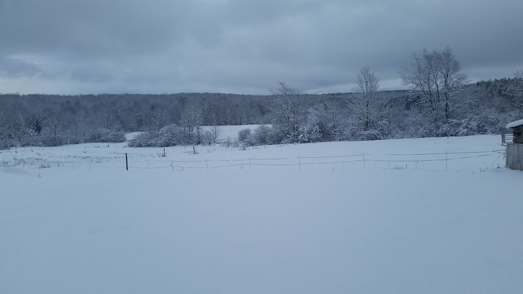 Gatehouse Kennel Bed & Biscuit | 397531 10 Concession, Owen Sound, ON N4K 5N8, Canada | Phone: (519) 374-5205
