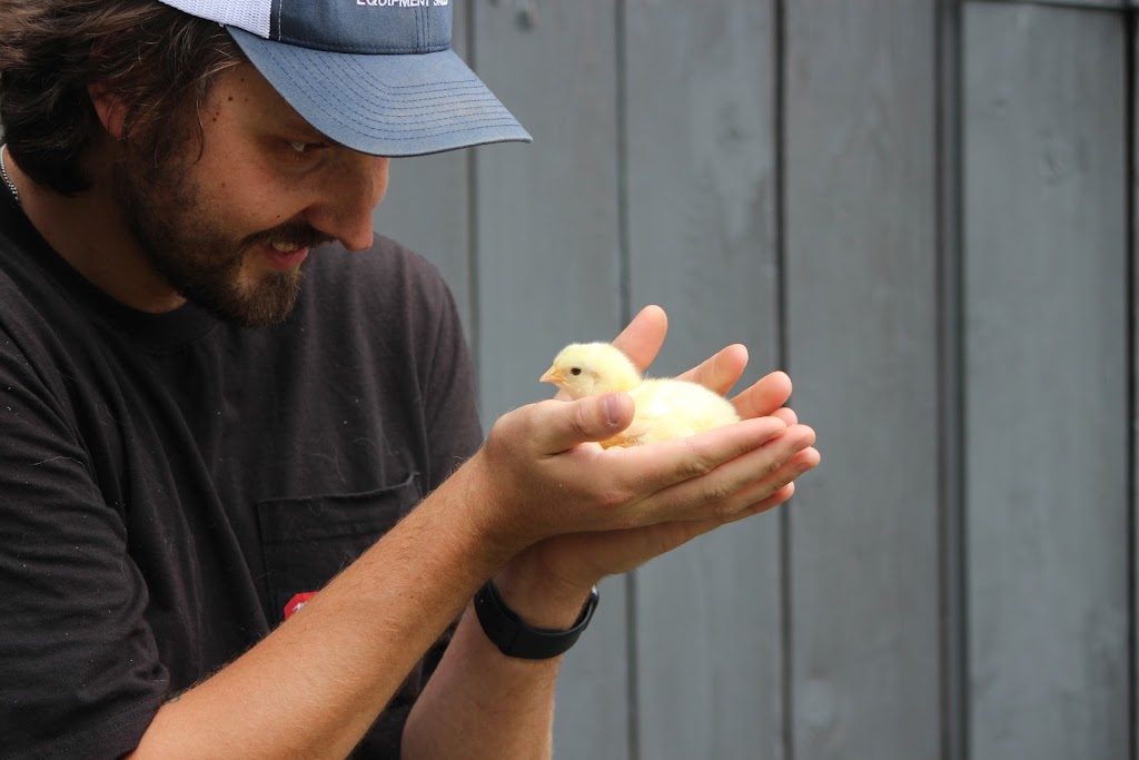Opas Acres Livestock and Produce | 414 County Rd 28, Belleville, ON K8N 4Z7, Canada | Phone: (613) 885-3980
