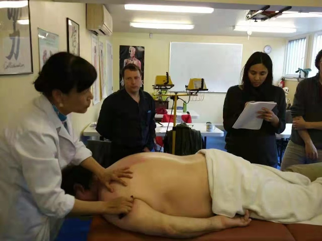 Hannahs Acupuncture & TCM Treatment | 01 unit B - 1681 Cowichan Bay Road Cowichan Bay, Duncan, BC V0R 1N0, Canada | Phone: (250) 597-0668