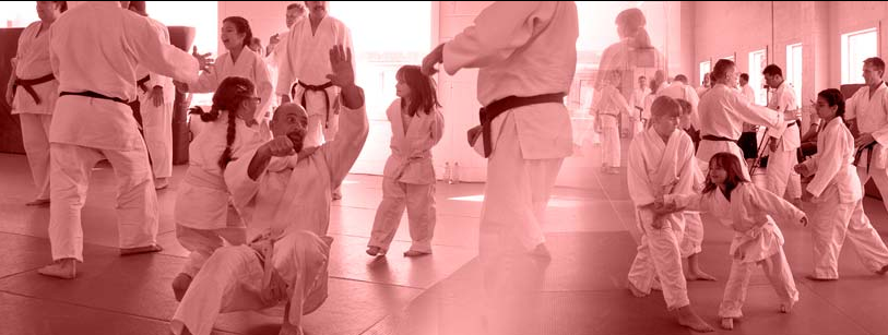 Sendokan Dojo Yoshinkan Style Aikido | 1200 Aimco Blvd Unit # 1, Mississauga, ON L4W 1B2, Canada | Phone: (416) 418-6786