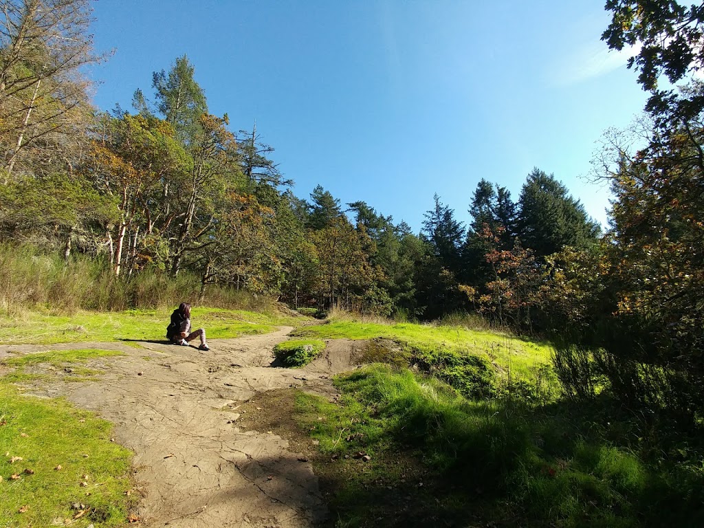 Bear Hill Regional Park - Main Parking Lot | Bear Hill Rd, Saanich, BC V9E 2J3, Canada