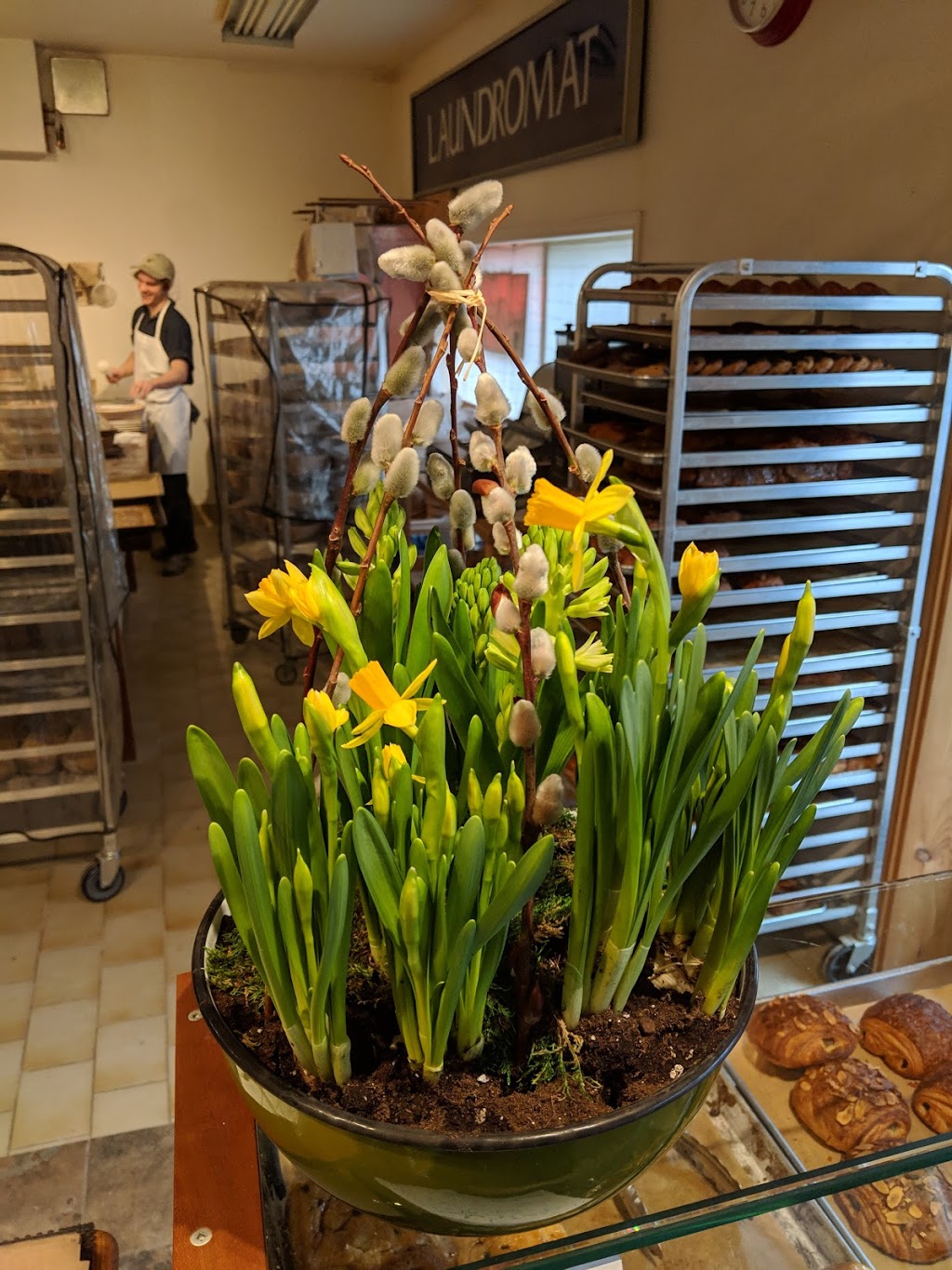 Polestar Hearth | 535 Woolwich St, Guelph, ON N1H 3X9, Canada | Phone: (519) 265-4300