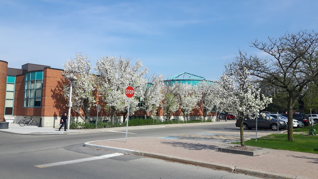 Thornhill Library | 7755 Bayview Ave, Thornhill, ON L3T 4P1, Canada | Phone: (905) 513-7977