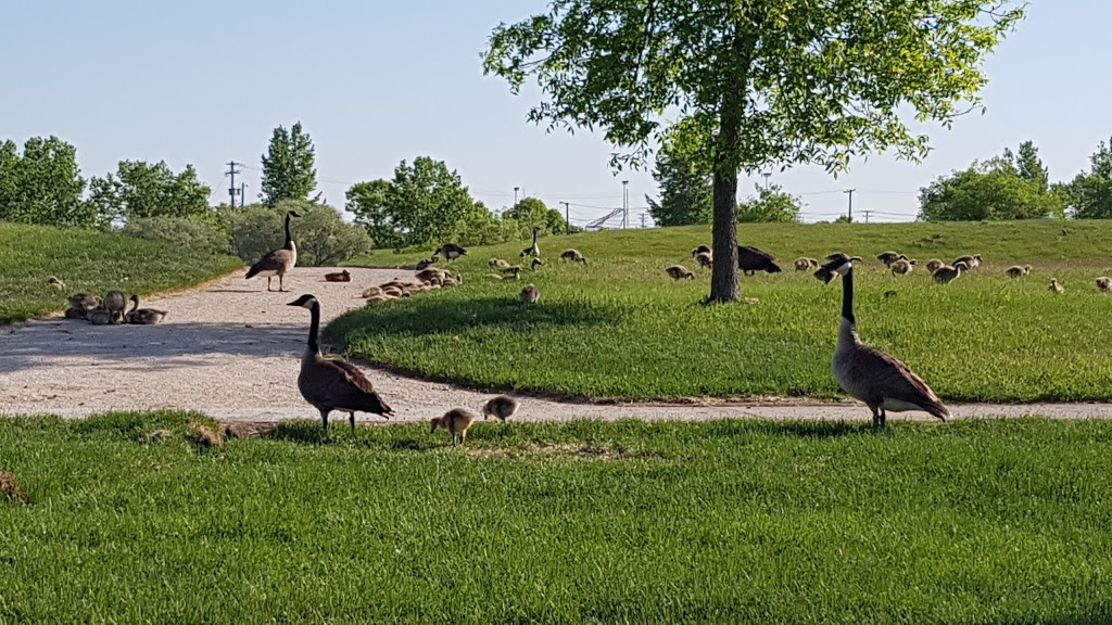 Woodsworth Park | Oak Point Highway, Winnipeg, MB R2R, Canada