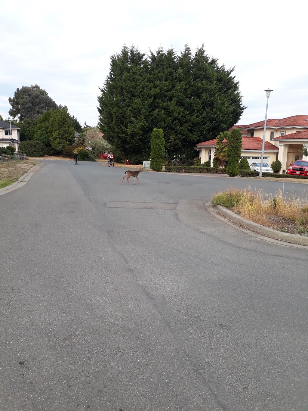 King Alfred Park | 4408-, 4410 King Alfred Ct, Victoria, BC V8N 6E4, Canada