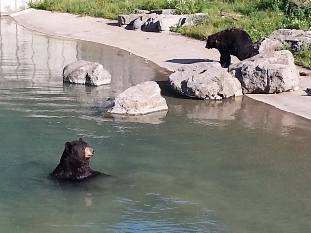 MarineLand | 7657 Portage Rd, Niagara Falls, ON L2E 6X8, Canada | Phone: (905) 356-9565