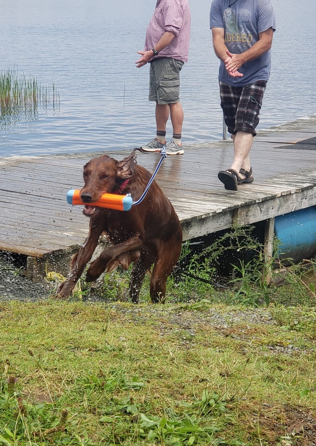 Lietash Canine Academy | 1502 Hwy #202, Mount Uniacke, NS B0N 1Z0, Canada | Phone: (902) 866-2273
