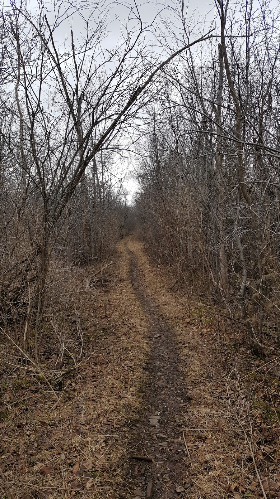 Barber Scout Camp | 733 Stone Rd E, Guelph, ON N1L 1B8, Canada | Phone: (519) 836-1810