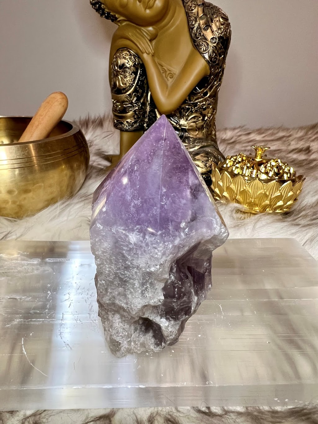 Chameleon Crystals | 54 Bartor Rd, North York, ON M9M 2G5, Canada | Phone: (647) 404-7291