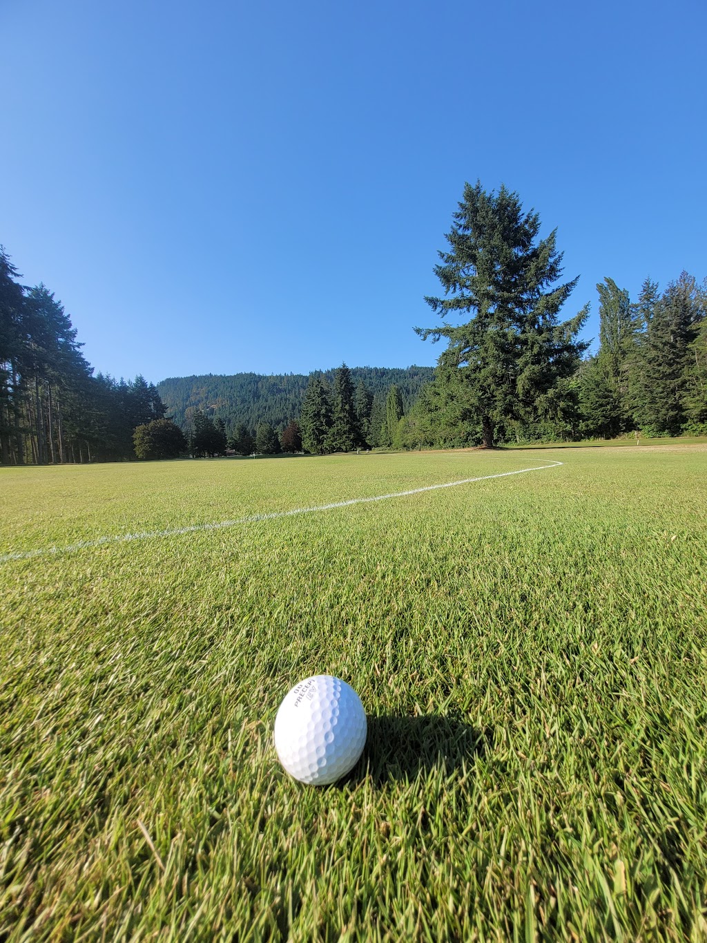 Alberni Golf Club & Restaurant | 6449 Cherry Creek Rd, Port Alberni, BC V9Y 8T3, Canada | Phone: (250) 723-5422