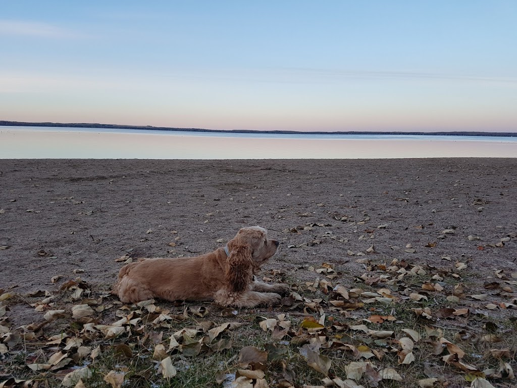 Pigeon Lake | Wetaskiwin County No. 10, AB T0C 2C0, Canada