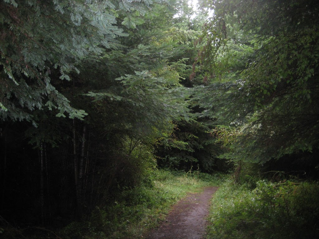 Crescent Beach Preserve | 613 Crescent Beach Dr, Eastsound, WA 98245, USA | Phone: (360) 378-4402