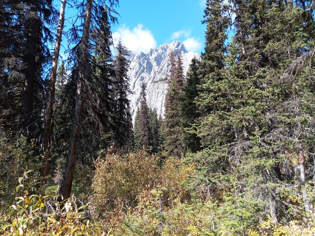 Elk Lake Cabin | Elk Pass, East Kootenay A, BC V0B 1H0, Canada | Phone: (403) 678-3200