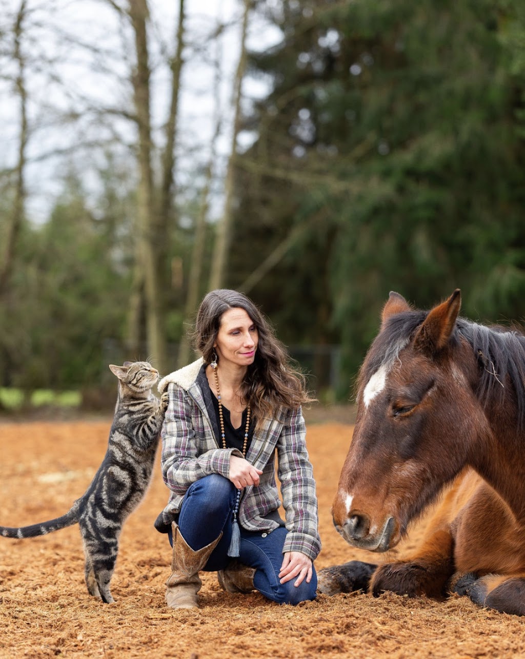 Freedom To Feel & Horse Guided Healing | 2708 210 St, Langley, BC V2Z 2A9, Canada | Phone: (778) 808-3982