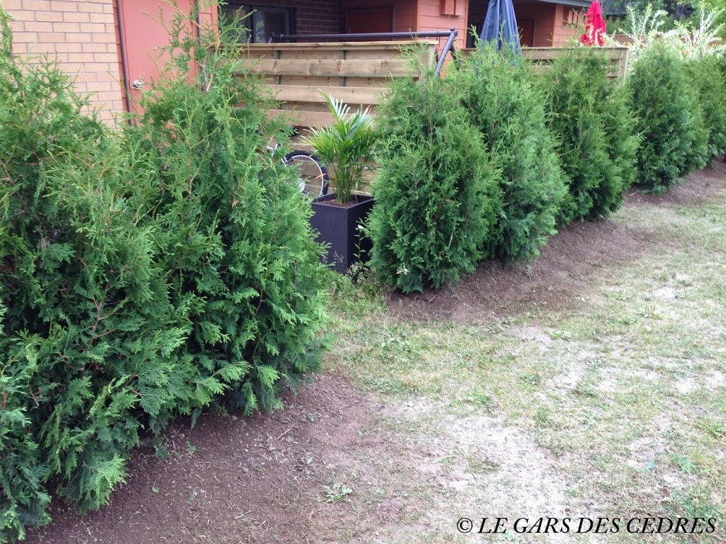 Le Gars Des Cèdres Chambly | 1001 Rue Patrick Farrar, Chambly, QC J3L 4N7, Canada | Phone: (514) 791-6331