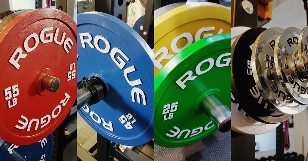 Alpha Power & Performance Training | 101 Wayne Gretzky Pkwy, Brantford, ON N3R 6K6, Canada | Phone: (519) 717-1257