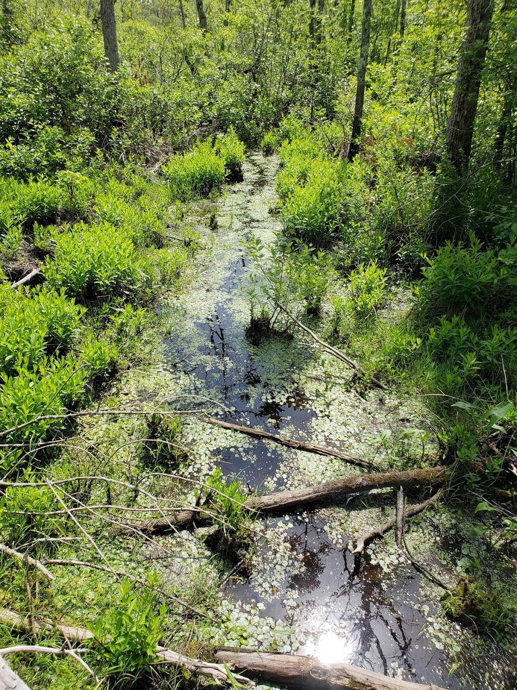 Missisquoi National Wildlife Refuge Admin Building And Visitor C | 29 Tabor Rd, Swanton, VT 05488, USA | Phone: (802) 868-4781