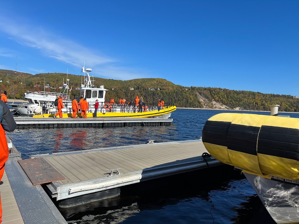 Croisières AML ­Tadoussac Billetterie | 177 Rue des Pionniers, Tadoussac, QC G0T 2A0, Canada | Phone: (866) 856-6668