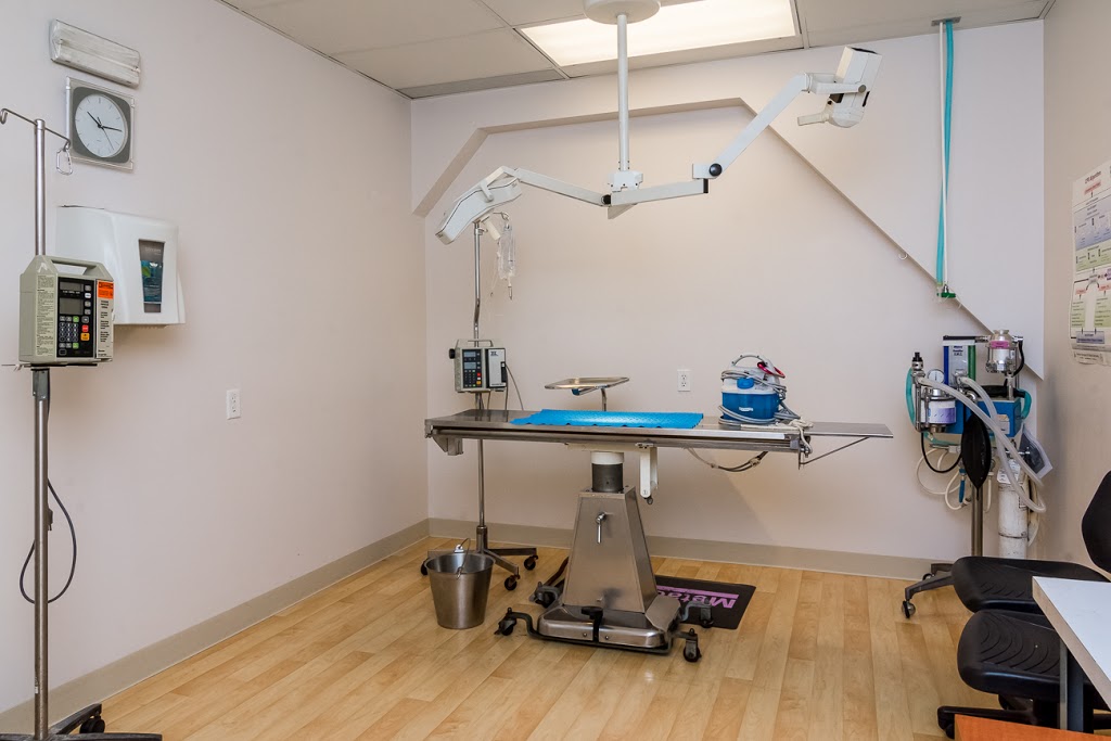 Brookswood Veterinary Hospital | 4059 200 St, Langley City, BC V3A 1K8, Canada | Phone: (604) 534-4174