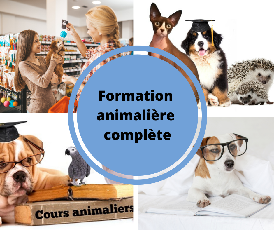 Training Animalière Michèle | 1310 Rue dIbérie, Québec, QC G3J 1A4, Canada | Phone: (418) 271-5626