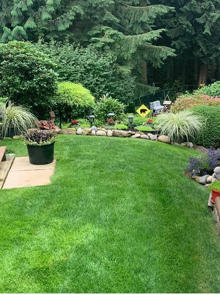 BAs Lawn Care | Ascott Ave, Abbotsford, BC V2S 4V5, Canada | Phone: (778) 878-1737