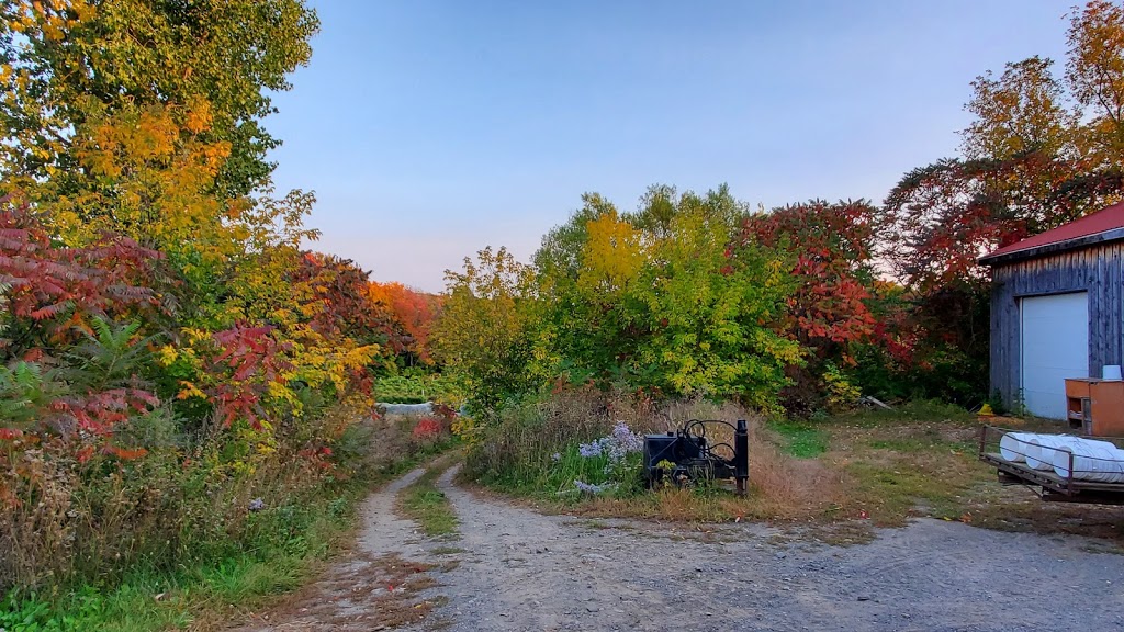 Trois Clochers | 341 Rue Bruce, Dunham, QC J0E 1M0, Canada | Phone: (450) 295-2034