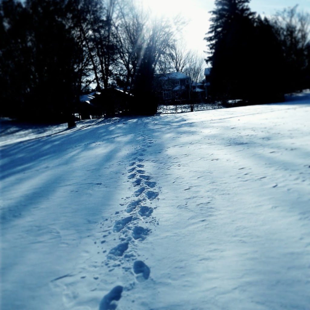 Ryerson Park | 565 Woodview Rd, Burlington, ON L7N 2Z9, Canada | Phone: (905) 335-7738