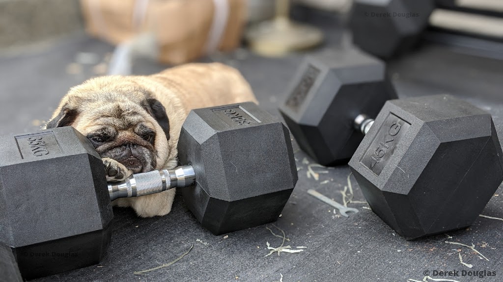 BC Gym Store | 799 Blackberry Rd, Victoria, BC V8X 1J6, Canada | Phone: (250) 743-6321