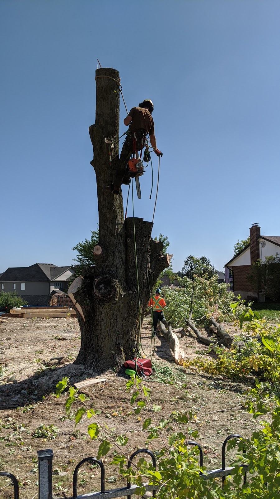 Four Seasons Expert Tree Mntnc | 907515 Twp Rd, Ayr, ON N0B 1E0, Canada | Phone: (519) 632-7771