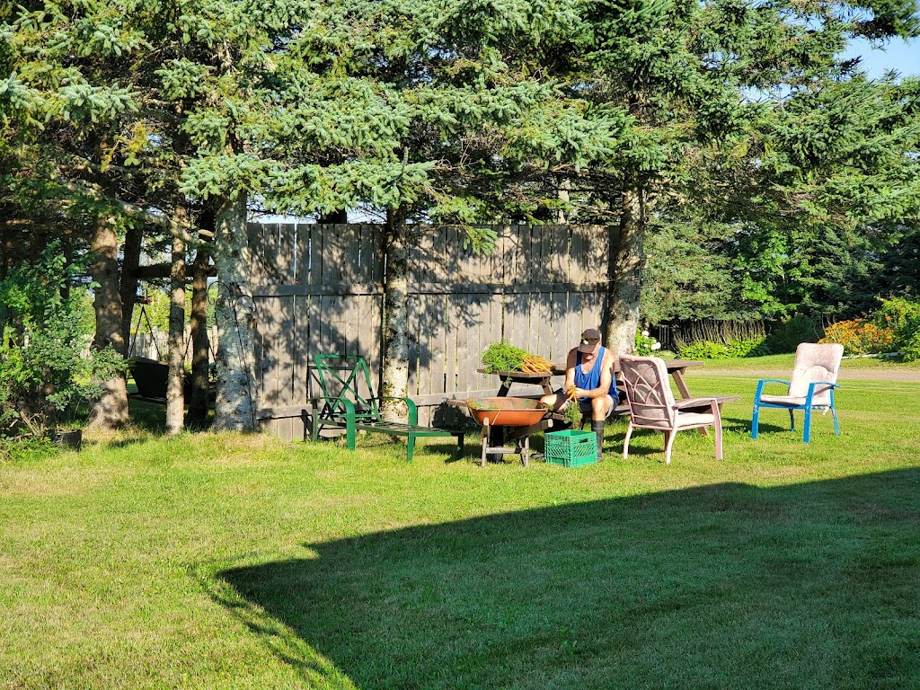 The Vulture’s Roost | VF5C+P5, Dorchester Parish, NB E4K 3J4, Canada | Phone: (506) 224-0110