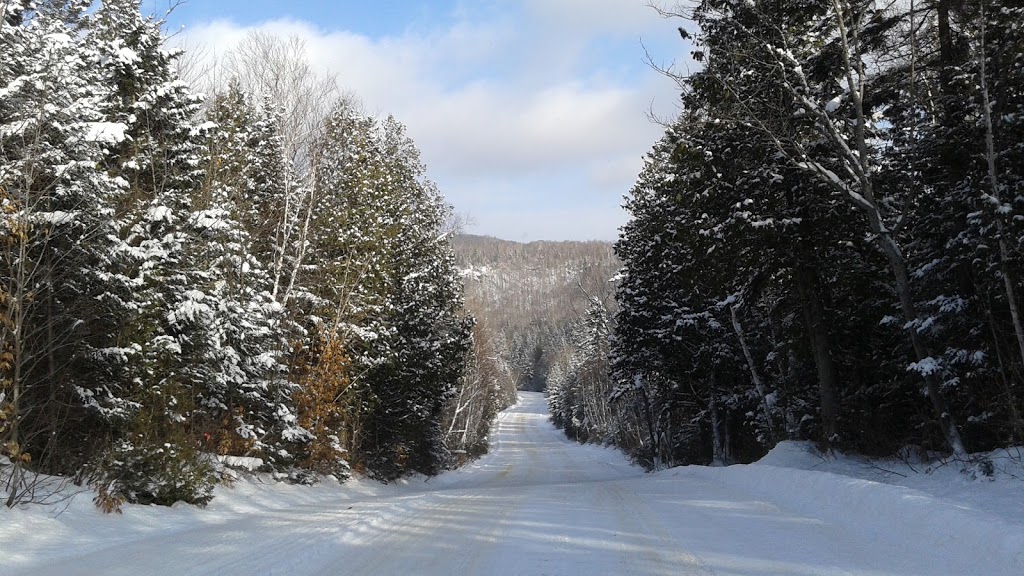 Chalet Nordique | 124 Chemin des Lacs à May, Entrelacs, QC J0T 2E0, Canada | Phone: (514) 464-2145