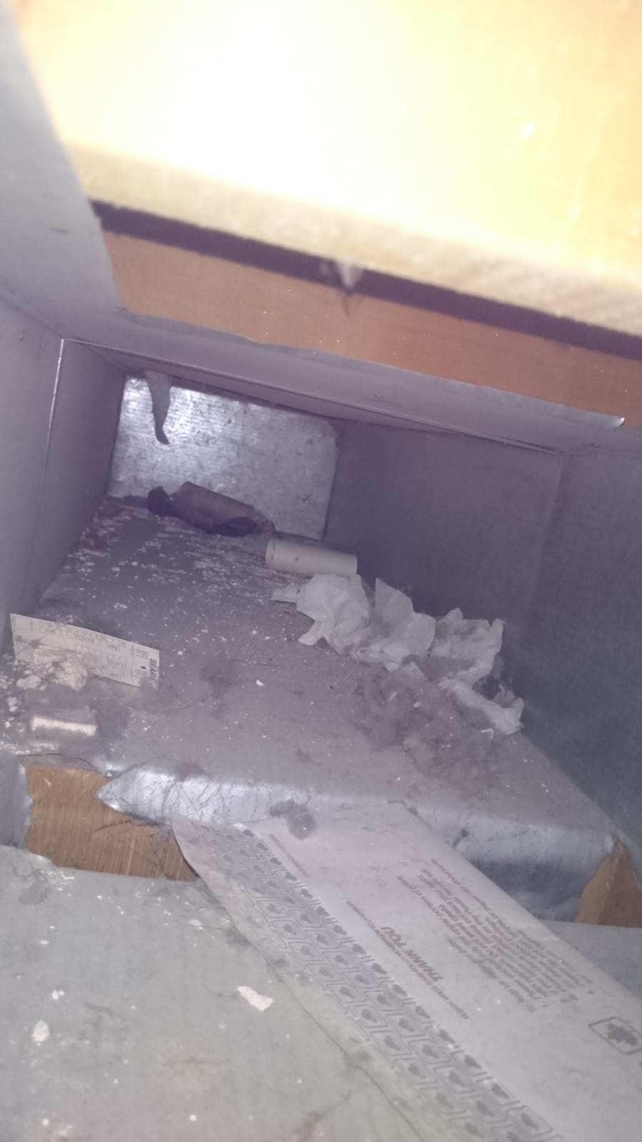 Seel Carpet and Furnace Cleaning | 1718 34 St SE, Calgary, AB T2A 1A3, Canada | Phone: (403) 276-9100