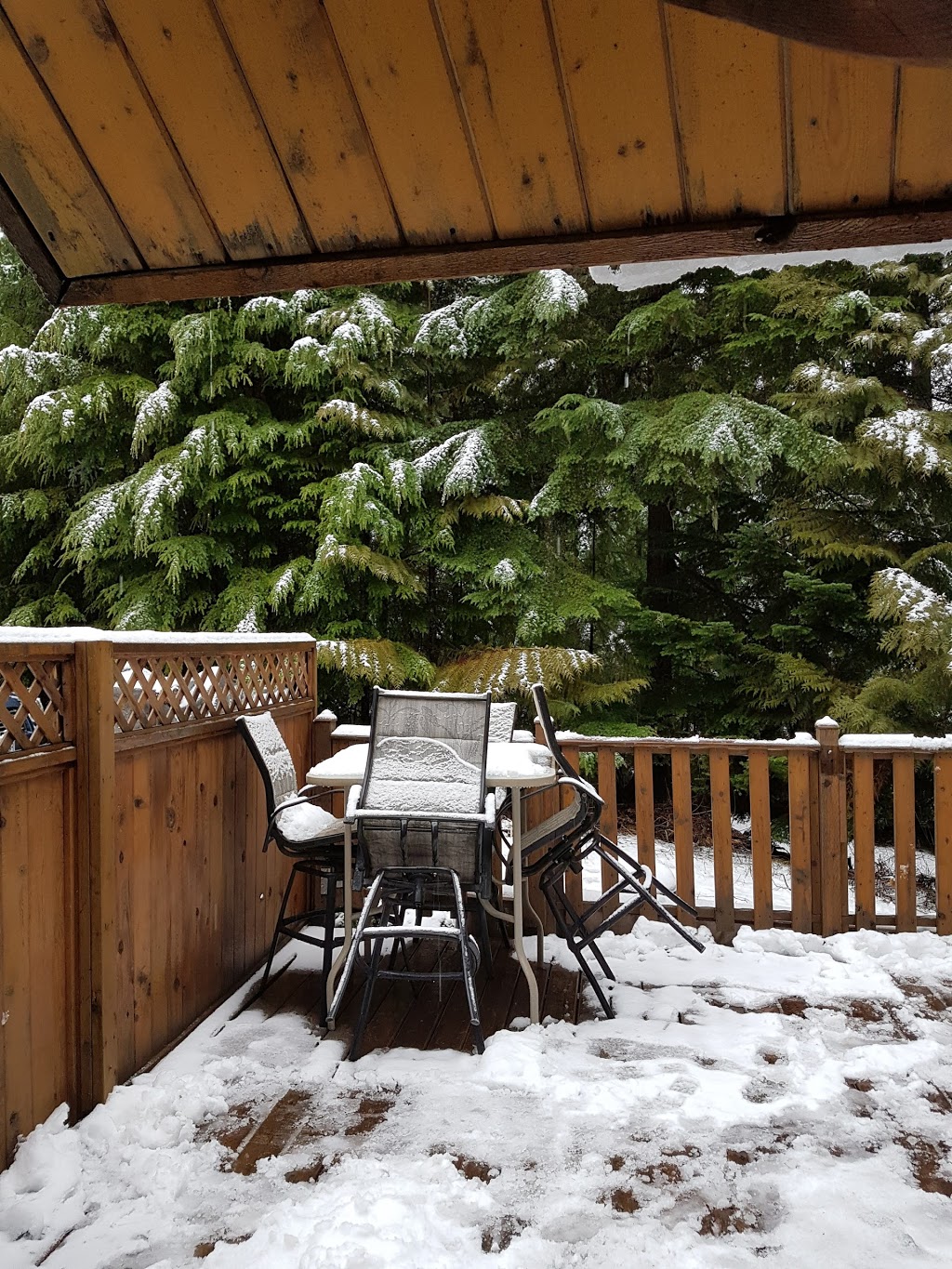 Billabong Lodge | 14942 Parkwood St, Hope, BC V0X 1L5, Canada | Phone: (604) 676-1826