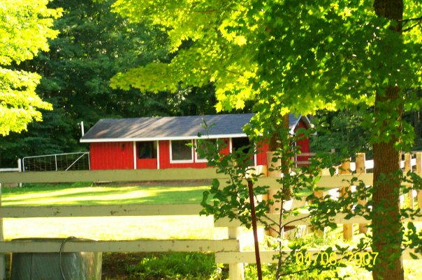 Rickfield Farm Agility Club | 8658 Bank St, Vernon, ON K0A 3J0, Canada | Phone: (613) 323-0872