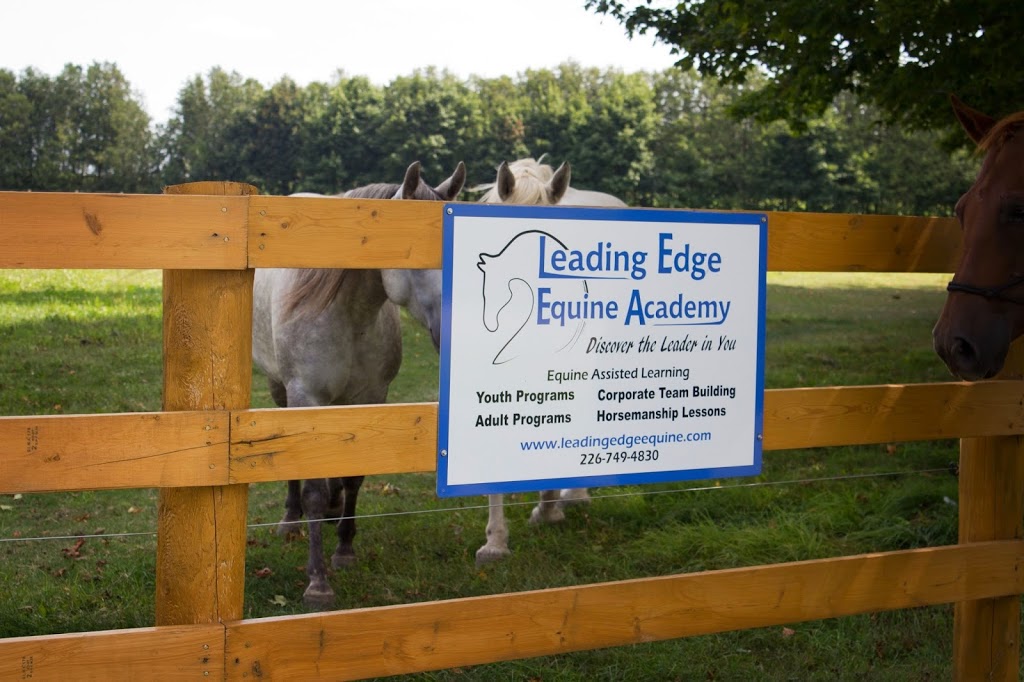 Leading Edge Equine Academy | 515588 11 Line, Woodstock, ON N4S 7V7, Canada | Phone: (226) 749-4830
