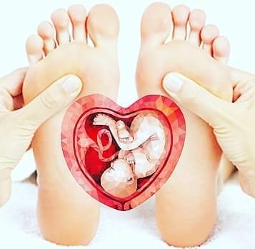 Lisa Matthews - Dandelion Moon - Reflexology - HRP | 12 Elgin St E, Cobourg, ON K9A 0C5, Canada | Phone: (289) 404-0493