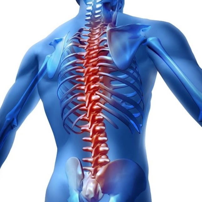 Evidence Sport and Spine South | 7 Mahogany Plaza SE #110, Calgary, AB T3M 2P8, Canada | Phone: (403) 454-8464
