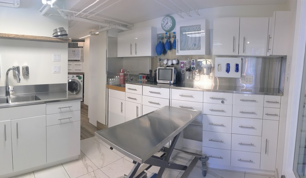 Twin Trees Veterinary Clinic | 106-2067 Lake Placid Rd, Whistler, BC V0N 1B2, Canada | Phone: (604) 962-0838