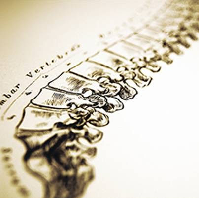 Claudia Wagner D.O.- Osteopath | 1850 Rue des Loisirs, Saint-Lazare, QC J7T 3B4, Canada | Phone: (514) 756-1571